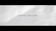 边牧不肯出门是什么原因