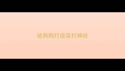 给狗狗打疫苗打神经
