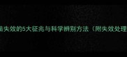 宠物疫苗失效的5大征兆与科学辨别方法附失效处理指南
