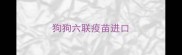 狗狗六联疫苗进口