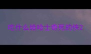 吃什么给哈士奇死的快