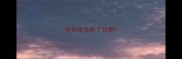 拉布拉多吃了化肥