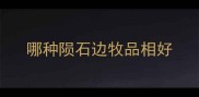 哪种陨石边牧品相好