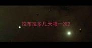 拉布拉多几天喂一次