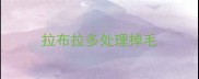 拉布拉多处理掉毛