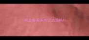 哈士奇买来可以洗澡吗