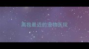 离我最近的宠物医院