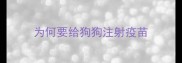 为何要给狗狗注射疫苗