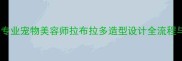 最新指南专业宠物美容师拉布拉多造型设计全流程与实用技巧