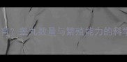 狗狗单睾丸能否生育睾丸数量与繁殖能力的科学附养犬指南