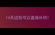 14天边牧可以直接补钙
