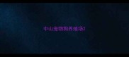 中山宠物狗养殖场