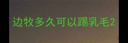 边牧多久可以踢乳毛
