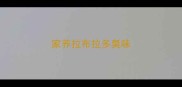 家养拉布拉多臭味