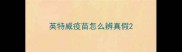 英特威疫苗怎么辨真假