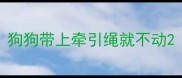 狗狗带上牵引绳就不动