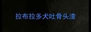 拉布拉多犬吐骨头渣
