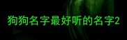 狗狗名字最好听的名字