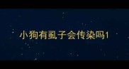小狗有虱子会传染吗