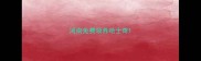 河南免费领养哈士奇