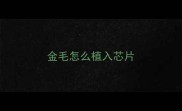 金毛怎么植入芯片