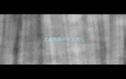 犬瘟狗狗不吃东西