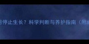 贵宾犬几个月停止生长科学判断与养护指南附成长周期表