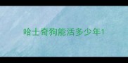 哈士奇狗能活多少年