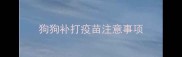 狗狗补打疫苗注意事项