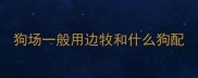 狗场一般用边牧和什么狗配