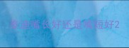 泰迪嘴长好还是嘴短好