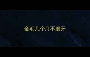 金毛几个月不磨牙