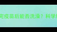 核心问题小狗打完疫苗后能否洗澡科学解答与护理指南