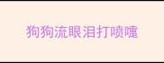 狗狗流眼泪打喷嚏