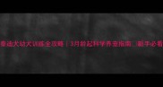 泰迪犬幼犬训练全攻略3月龄起科学养宠指南新手必看