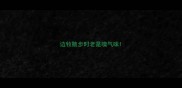 边牧散步时老是嗅气味