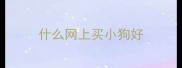 什么网上买小狗好
