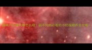 猫咪产后哺乳期怎么喂新手妈妈必看的小奶猫喂养全攻略