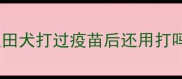 秋田犬打过疫苗后还用打吗