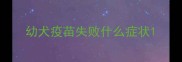 幼犬疫苗失败什么症状