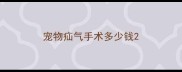 宠物疝气手术多少钱