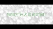 狗狗打狂犬疫苗时间