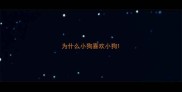 为什么小狗喜欢小狗