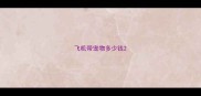 飞机带宠物多少钱