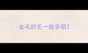 金毛的毛一般多粗