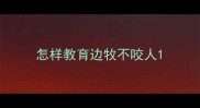 怎样教育边牧不咬人