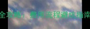 宠物免疫证办理全攻略费用流程避坑指南附免费模板