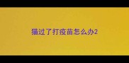 猫过了打疫苗怎么办