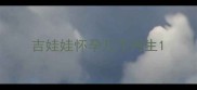 吉娃娃怀孕几个月生
