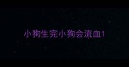 小狗生完小狗会流血